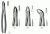 Extracting forceps