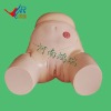 Advanced female catheterization model