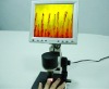 microscope for microcirculatory