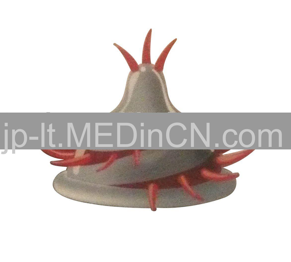 Spike Condom