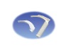 single - use laryngoscope observational lens