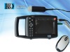 Swine Pregnancy Ultrasound Scanner