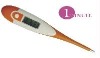 Electric Thermometer
