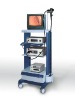 Nether Gastrointestinal Electronic Endoscope