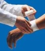 PBT elastic bandage