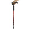 Walking Stick