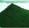 spirulina powder slimming