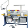 Denatal Teaching System