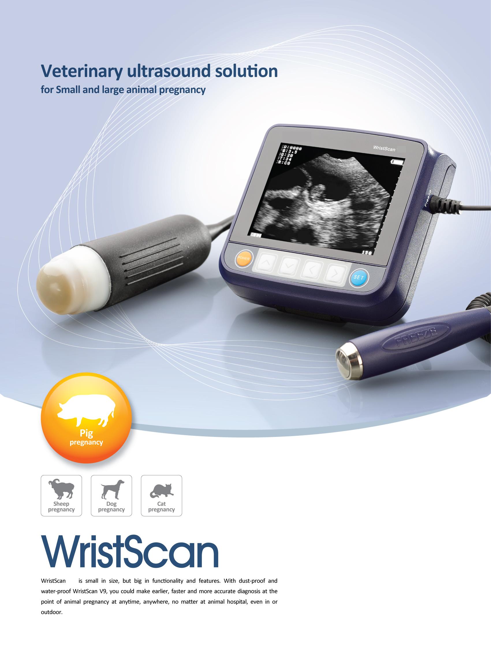 ultrasound veterinary solution